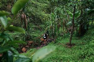 BIB: 
                            <button type="button" onclick="openModal(26200134)" class="btn btn-primary btn-sm float-right btn-popup" data-toggle="modal" data-target=".modal-high-quality">
                        <i class="fas fa-shopping-cart"></i> Add to Cart
                    </button>
                                            <button type="button" onclick="isThisMe(26200134, true)" class="btn btn-success btn-sm float-right btn-popup btn-isme hidden" data-toggle="tooltip" data-placement="bottom" title="นี่คือรูปของคุณใช่ไหม คลิกที่นี่เพื่อเอาเข้าอัลบั้ม">
                        <i class="fas fa-plus"></i> Add to album
                    </button>
                    <button type="button" onclick="isThisMe(26200134, false)" class="btn btn-warning btn-sm float-right btn-popup btn-isnotme hidden">
                        <i class="fas fa-ban"></i> Remove from album
                    </button>